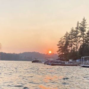 Meet your Posher, Bella